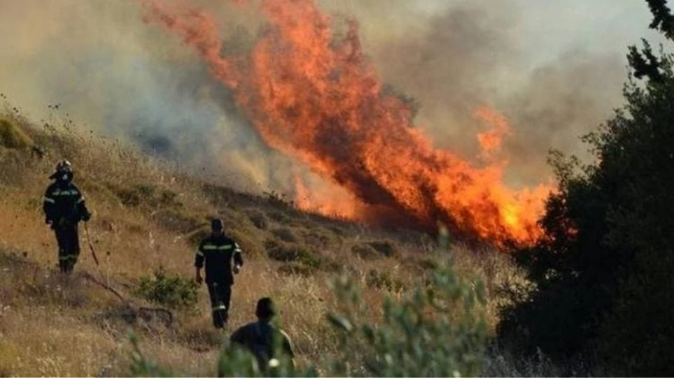 Φωτιά στην Αμαλιάδα: Εκκενώνεται το χωριό Δαφνιώτισσα – Στο σημείο επιχειρούν 30 πυροσβέστες με 14 οχήματα
